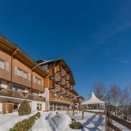 Otel Ferienalm Panorama Schladming