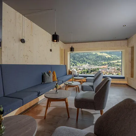 Ferienalm Panorama 4* 斯拉德明